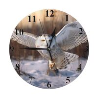 Snowy Owl Wall Clock - 9.84 Inch Round Silent Battery Operated Non Ticking Decorative Clock for Kids