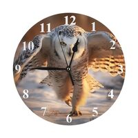 Snowy Owl Wall Clock - 9.84 Inch Round Silent Battery Operated Non Ticking Decorative Clock for Kids