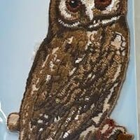 Simplicity Owl On Branch Iron On Applique Patch for Clothes, Backpacks, and Accessories 1.75" W