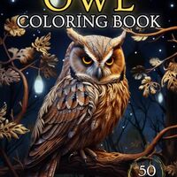 Enchanting Owl Coloring Book for Adults - Stress Relief and Relaxation | 50 Beautiful Designs | Idea