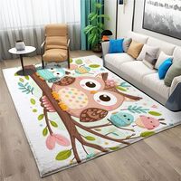 Machine Washable Non Slip Area Rug 2x3 for Living Room Bedroom, Colorful Cartoon Owl Theme Fluffy Ru