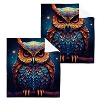 Haskirky Washcloths 2 Pack Owl Cotton Wash Cloths - 12 x 12 Inches Highly Absorbent Soft Face Towel