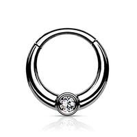 Pierced Owl 16GA 316L Stainless Steel CZ Crystal Center Rounded Thick Hinged Segment Clicker Ring (S