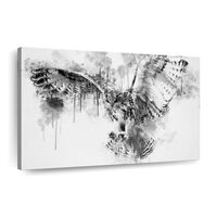 ElephantStock Owl Flying Black And White Wall Art - Horizontal Wrapped Canvas - 1-Piece Living Room 