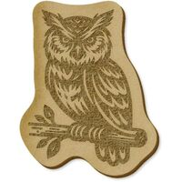 6 x 'Wise Owl' MDF Craft Embellishments (EB00031369)