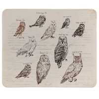 QIYUHOY Magical Owl Funny Small Mouse Pads，Home Decor Accessories Office Supplies，Mousepad for H