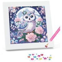 bleihum Owl Diamond Art Painting Kits for Kids Ages 4-8-12 with Frame, Owls Diamond Art Kits for Kid