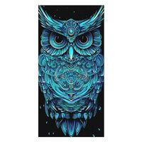 Amasnay Blue Owl Cartoon Microfiber Beach Towel Sand Free Towels Quick Dry Super Absorbent Oversized