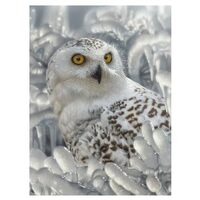 3D LiveLife Lenticular Wall Art Prints - Snowy Owl Sanctuary from Deluxebase. Unframed 3D Owl Poster