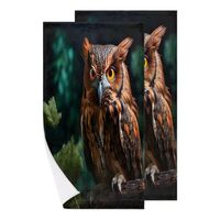 Obtravar Owl Theme 2 Pack Microfiber Beach Towel Quick Dry Absorbent Bath Towels Lightweight Pool To