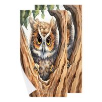 Obtravar Owl 2 Pack Microfiber Beach Towel Owl Theme Quick Dry Absorbent Bath Towels Lightweight Poo