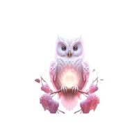 Owl Decal Sticker for Drink Tumblers, Adorable Funny Laptop Decals, Binders, Phones and so much more