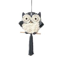 Homxi Woven Tapestry Macrame 13.8" x 27.6",Boho Wall Tapestry for Bedroom Woven Owl with T