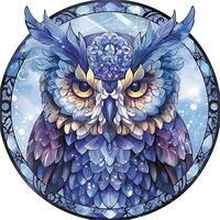 Colored Glass owl Iron on Transfers Dtf Transfers Ready to Press Iron on Clothing Stickers Patches H