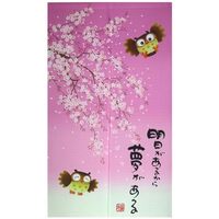 Vtrbwze Noren Japanese Doorway Curtain Tapestry Decorations Room Divider Curtain Privacy Anime Curta