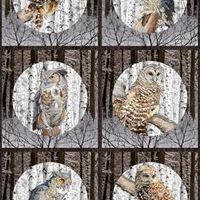 Northcot Soliltude - Naturescapes by David Kiehm DP26771 38 Owl Portrait Squares Digital Fabric