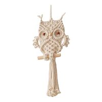 FQRDKT Bohemian Owl Macrame Wall Tapestry with Nordic Flair for Home Decor, White