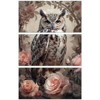 Peacoblue Rub on Transfer Sticker for Furniture Crafts Decor 6"x12" Vintage Owl, 3Pcs Wate