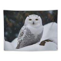 STVBRAC Tapestry Wall Hanging Painting Vintage with Snow Owl Patterns， Aesthetic Tapestries Decor 