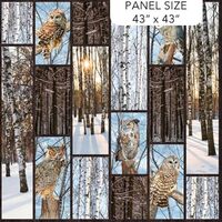 43" X 44" Panel Owls Birds Woods Forest Naturescapes Solitude Dark Brown Cotton Fabric Pan