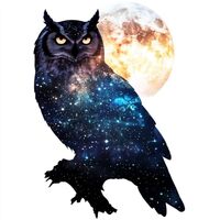 Yoonek Graphics Silhouette of owl Moon and Stars Double Expressive Surreal Peel and Stick Vinyl Deca