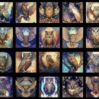FlashPhoenix Quality Sewing Fabric &ndash; Fabrics Mystic Owls by Morris Creative Group 30034 J Blac