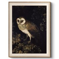 VIYYIEA Framed Wall Art for Living Room, Owl Canvas Prints, Vintage Home Decor, Animals Painting Pic