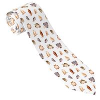 Buewutiry Ties for Men - Comfort Cute Crooked Head Owl Men's Neckties for Business Wedding Birt