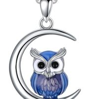 Midari Owl Necklace 925 Sterling Silver Moon Owl Pendant Necklace Owl Necklaces for Women Owl Gradua