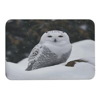 YTLKGFP Kitchen Doormat Bathroom Rugs Diatom Ooze Floor Mat Absorbent Non Slip Quick Drying Snow Owl