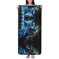 HFDERW Blue Owl Beach Towels Microfiber Coral Velvet Towel for Bathroom Swimming Pool Coral Velvet B