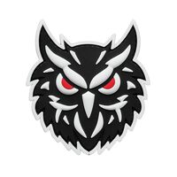 Tactical Owl Night Hunter Watcher Morale PVC Patch [B/W Glow in The Dark] Compatible with Velcro Pat