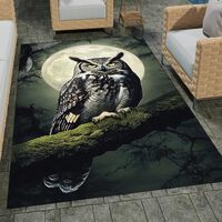 Custom Owl Rug Kitchen Decor - Owl Rugs for Living Room - Owl Bath Runner Carpet Non-Slip, Owl Class
