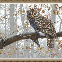 Aiorkeng Cross Stitch Kits Stamped Full Range of Embroidery Starter Kits for Beginners DIY-Printed k