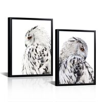 LyerArtork Snow Owl Wall Art Canvas Prints Owl Pictures White Feathers Black & White Birds Anima
