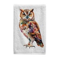 Colorful Owl Animal Bathroom Hand Towels Set of 2 Decorative Towels for Bathroom Soft 100 Percent Co