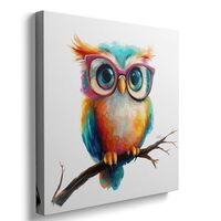 Ypxzzj Cute Owl with Glasses Canvas Wall Art,Colorful Owl Decor Wall Art Pictures Painting Poster Ar