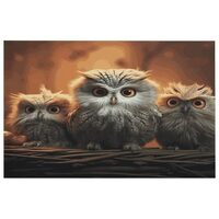 HKMNTGD Mat for Bathroom Cute Owl Baby Printed Floor Mats for Bathroom Non Slip Quick Dry Absorbent 