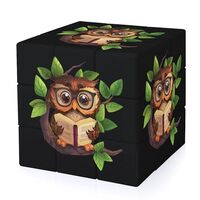 Cute Owl Reads Book Magic Cube for Men Women 3x3 Speed Cube Funny Puzzle Game Gifts