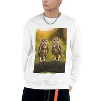 Loppott Cute Brown Cartoon Owls Print Adult Sweatshirts,Long Sleeve Crew Neck, Pullover With Picture