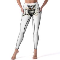 High Waisted Leggings for Women, Whimsical Owl On Branch Soft Yoga Pants Workout Leggings with Pocke