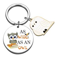 QUIHUD Owl Gifts For Women Men White Owl Ornaments Decor For Christmas Trees Owls Gift For Women Uni