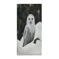 RTSEBVN Super Soft Towel Quick Dry Towel Absorb Water Snow Owl Printing Shower Towels for Body Sport