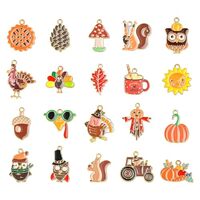 LiQunSweet 40 pcs 20 Styles Autumn Theme Enamel Charms Pumpkin Squirrel Owl Turkey Charms for Thanks