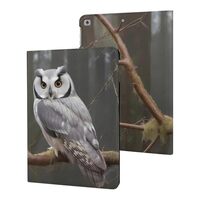 Widelife Owl Funny Protective Case Compatible with 2021 IPad/Air 5/Pro 2022/10th Generation/Air 3 St