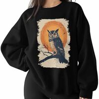 Winvebermior Sweatshirt for Women Abstract Sunset Owl Graphic Womens Sweatshirt Crewneck Long Sleeve