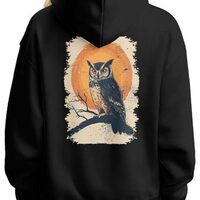 Libaoge Graphic Hoodies for Women Abstract Sunset Owl Women Hoodies Sweatshirts Long Sleeve Pullover