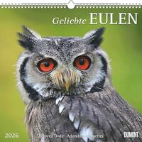 Beloved Owls 2026 - Dumont Wall Calendar - with the Most Important Holidays - Format 38.0 x 35.5 cm:
