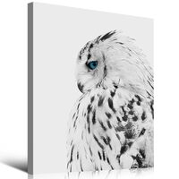 Wild Animals Canvas Wall Art Black&White Snowy Owl Pictures Wall Decor Blue-eyed Wildlife Owl Pa