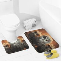 2 Piece Bathroom Rugs Sets Soft Absorbent Bath Mat for Bathroom on Slip Bath Rugs and U-Shaped Conto